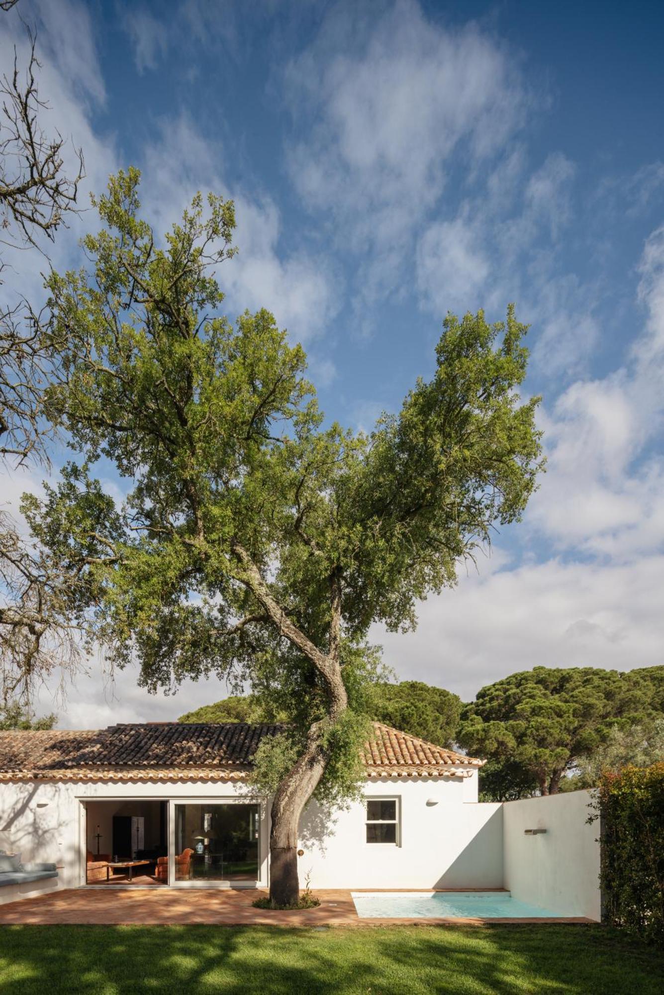 Herdade Do Peru Pateo Villas アゼイタオン エクステリア 写真